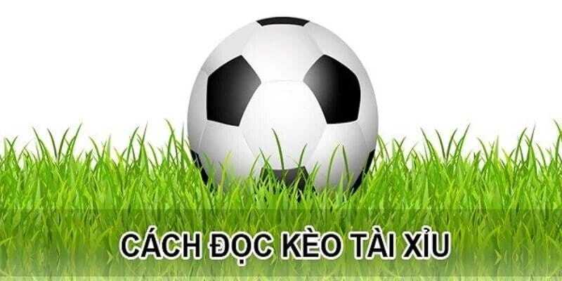 Kèo Tài Xỉu Là Gì? Cách Đọc Kèo Tài Xỉu Hay Từ Cao Thủ 4 Kèo Tài Xỉu bí quyết đầu tư